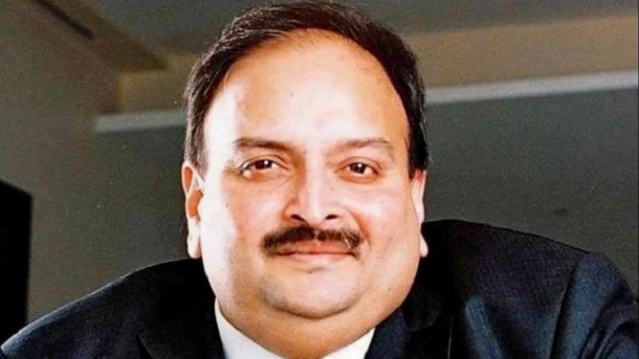 Mehul Choksi moves Bombay HC seeking to keep in abeyance ED's fugitive proceedings