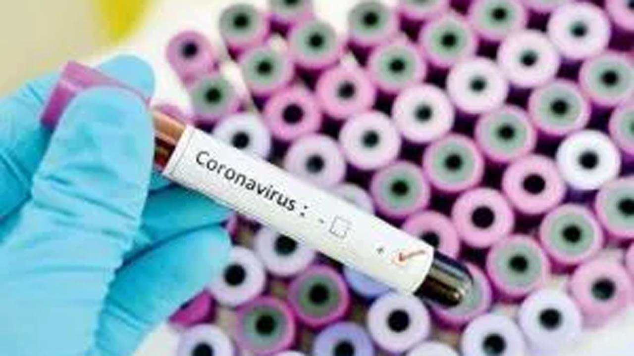 November records lowest number of cases and deaths in Mumbai