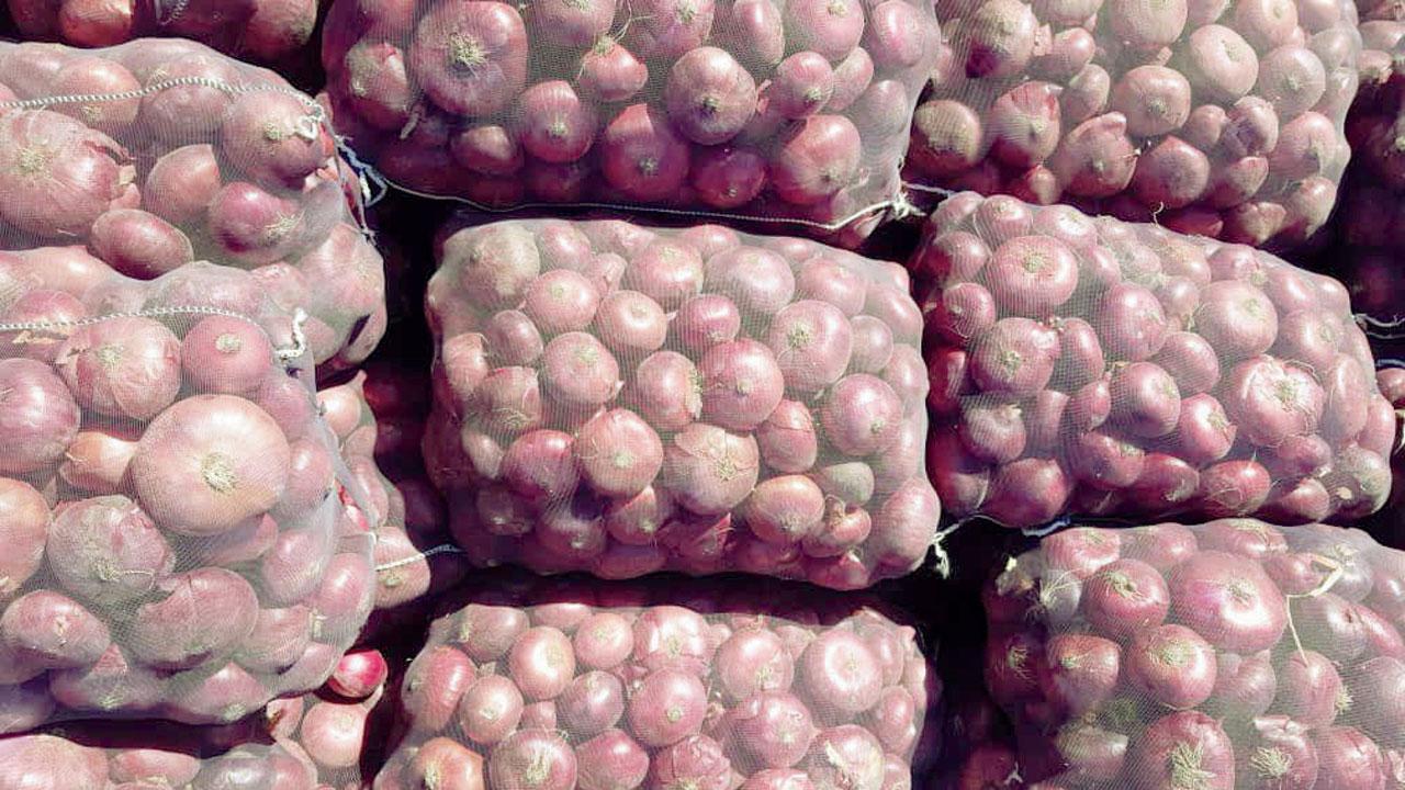 Maharashtra: After rain ruins crop, onions from Iran flood market