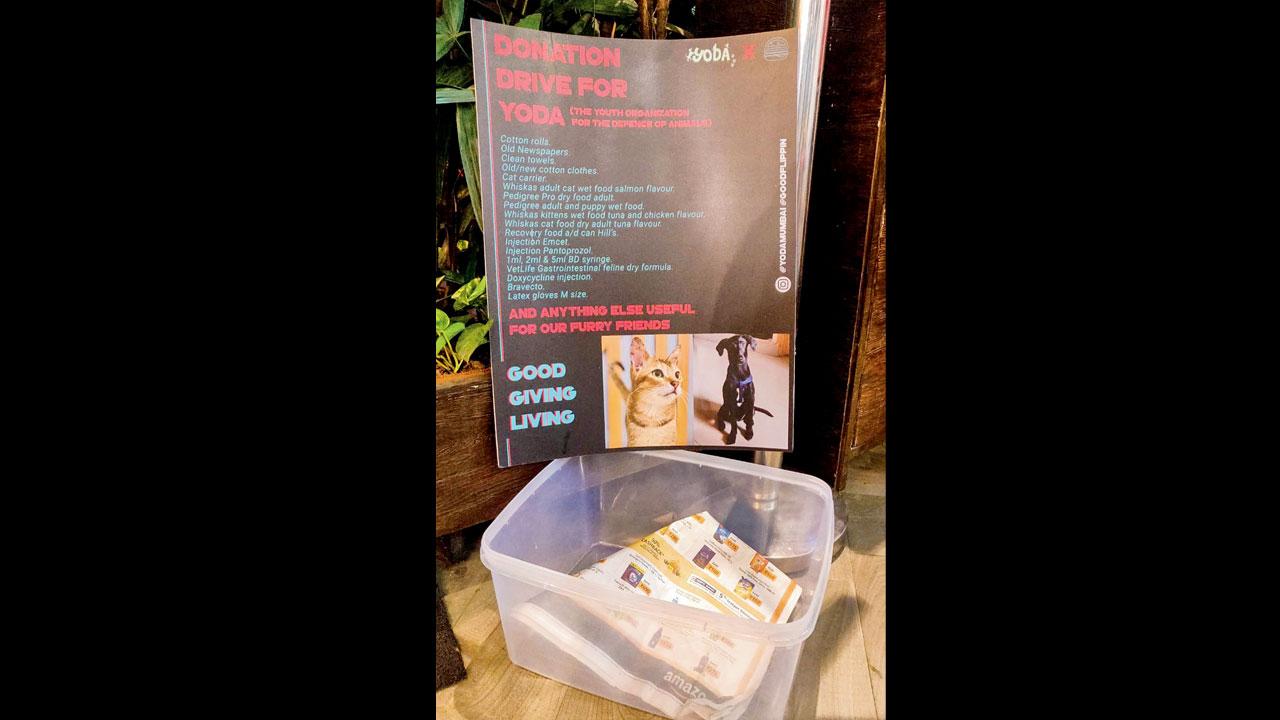 A donation bin at the Pali Naka outlet