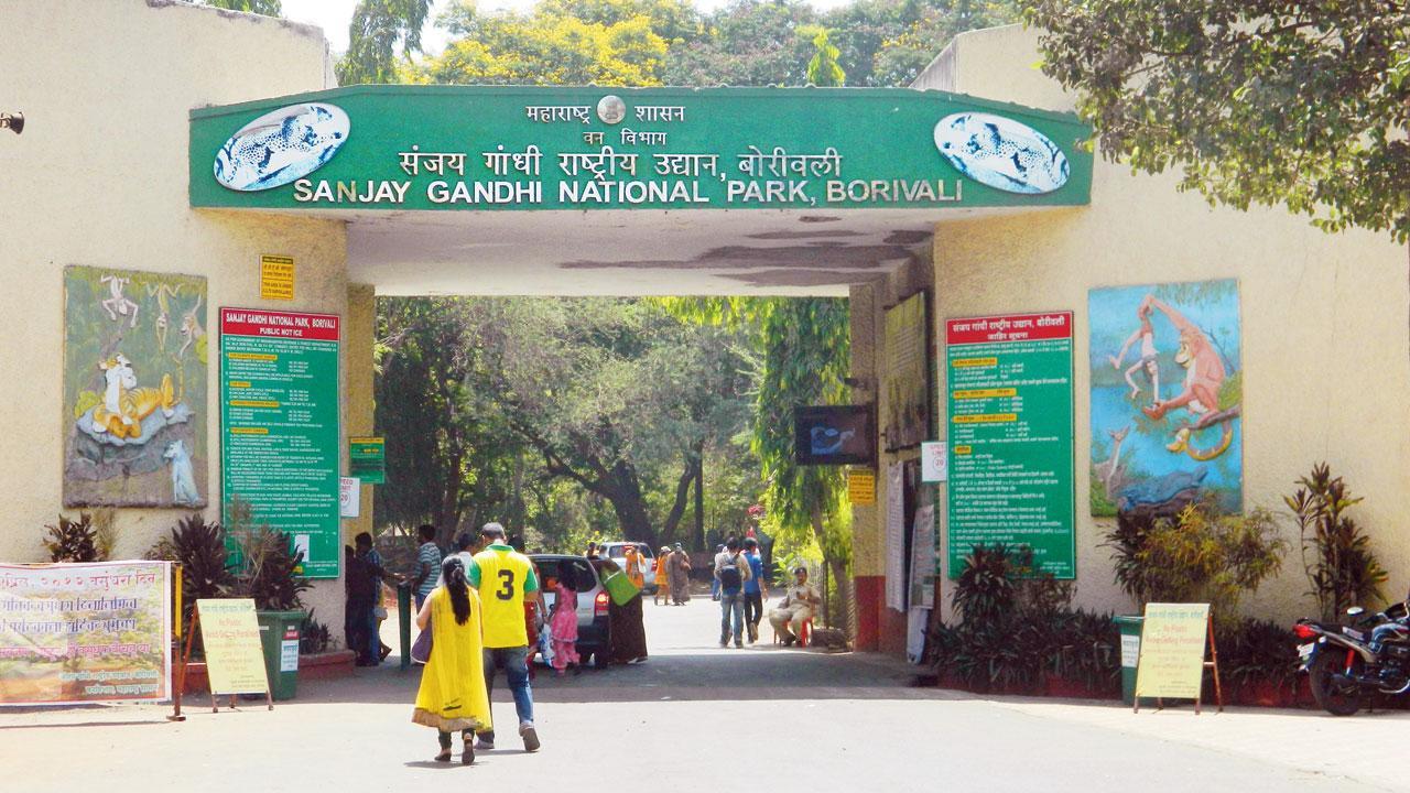Mumbai: BMC proposes digital mapping of Sanjay Gandhi National Park
