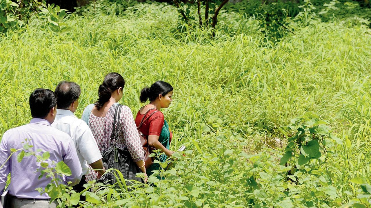 Forensic experts look for evidence at Shakti Mills. File pic