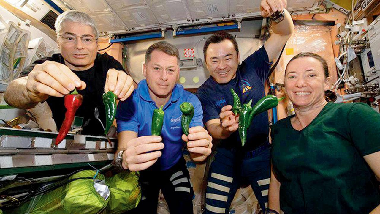 No toilet for SpaceX crew, stuck using diapers