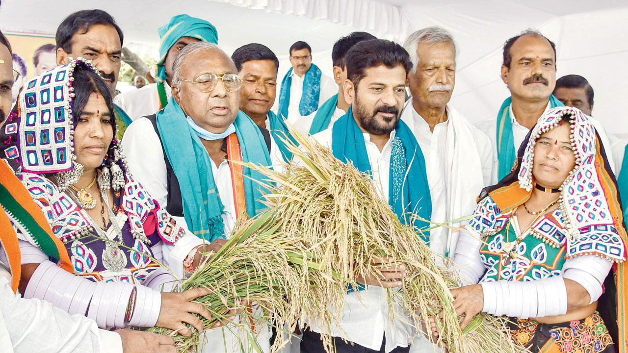 Centre accepts farmers' demand on decriminalising stubble burning: Tomar