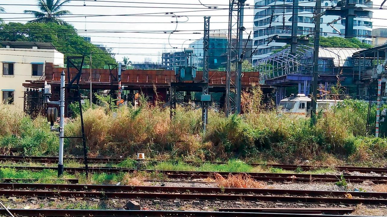 The site where the Vidyavihar bridge will come up over the tracks