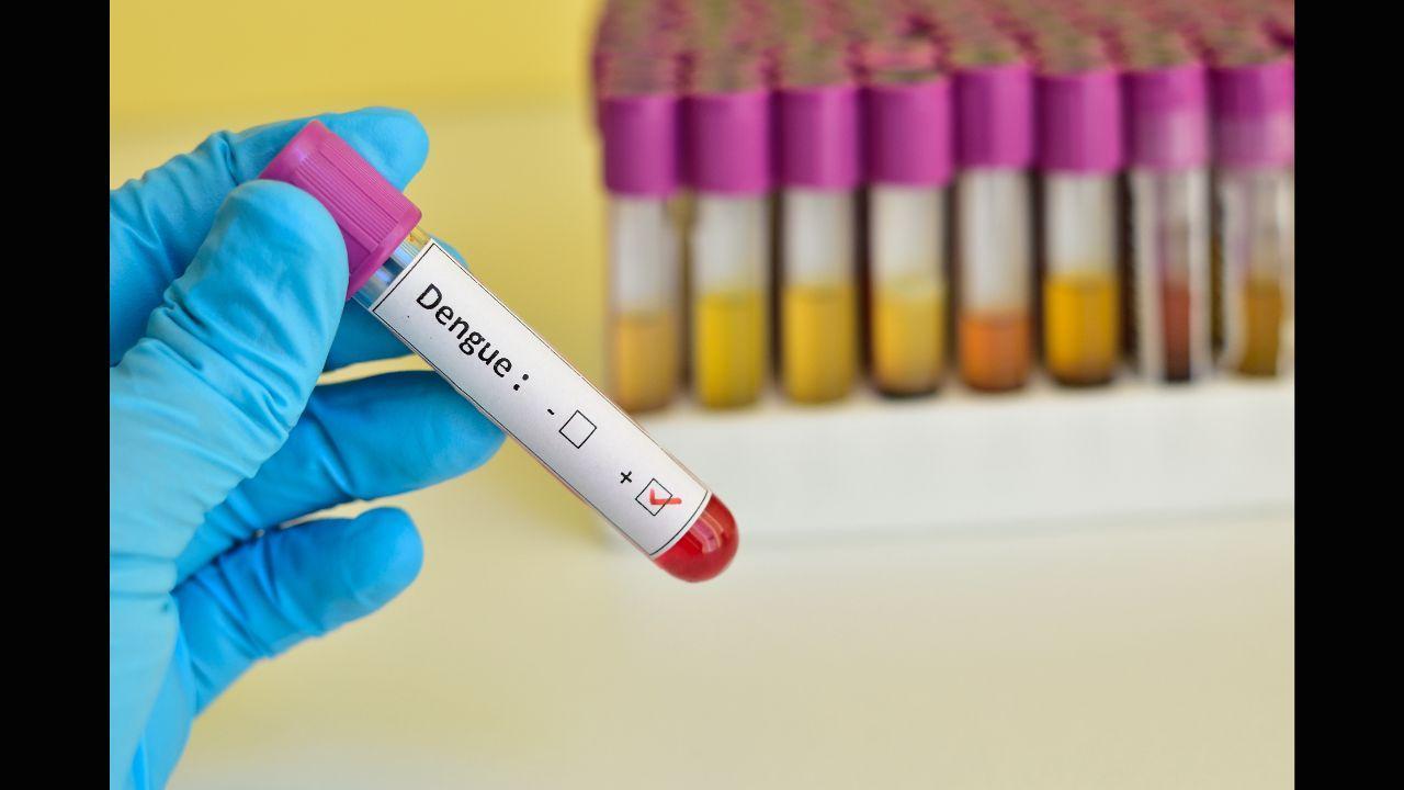 Dengue cases spike in Chennai, residents urged to remove stagnant water