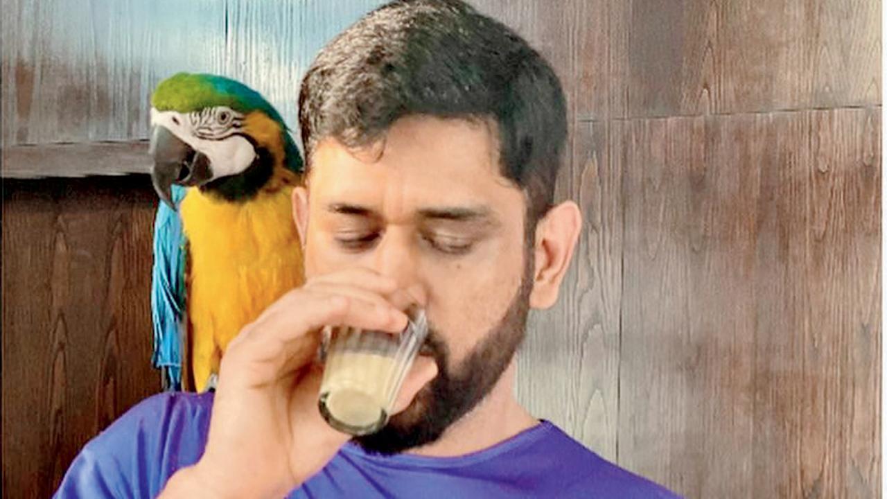 Sakshi Dhoni shares photos of MS Dhoni enjoying chai date with his 'honey'
