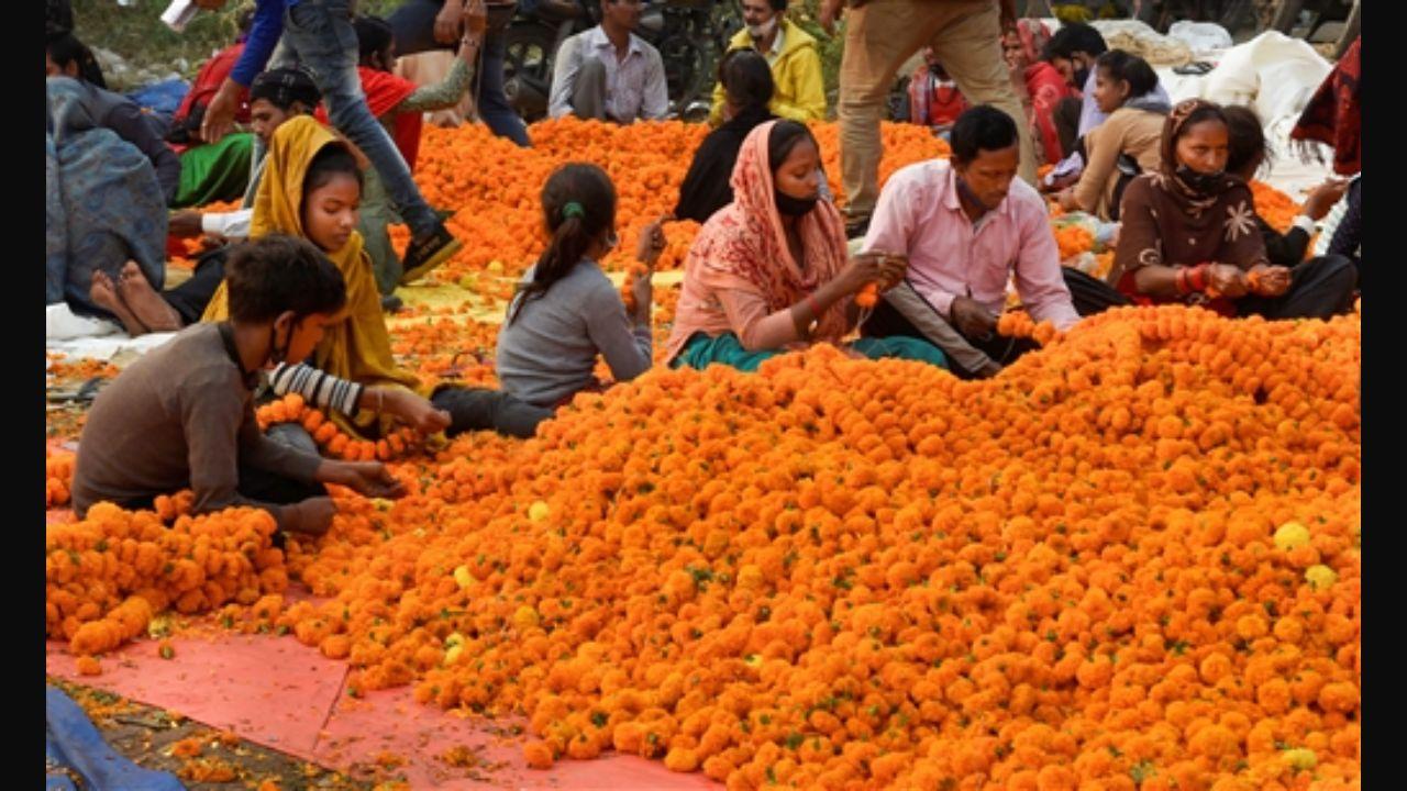 Vendors making flower garlands on the occasion of Diwali at Ghazipur wholesale flower market, in New Delhi.