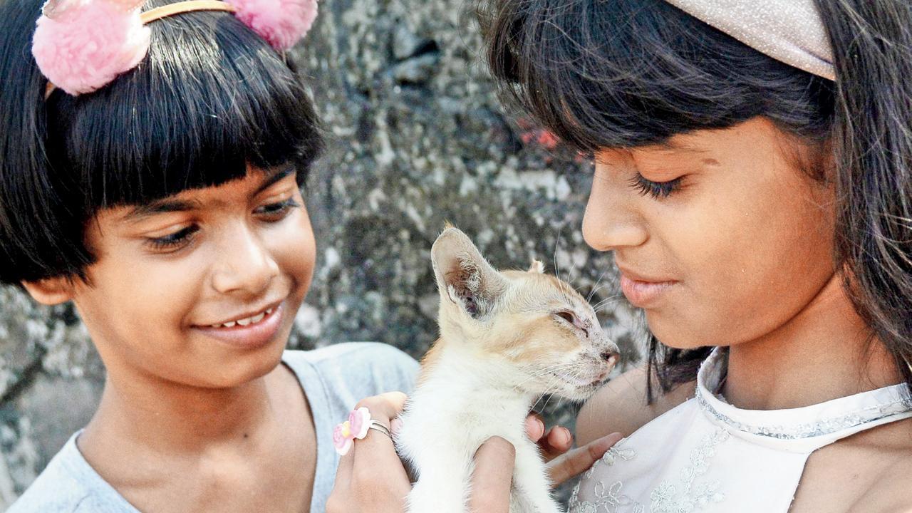 Mumbai Diary: Saturday Dossier
