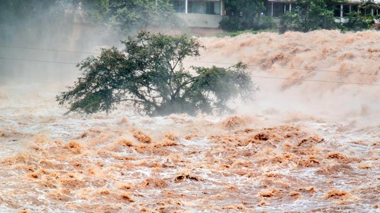 Rains hampered supply chains, led to rising tomatoes, onions prices: Govt
