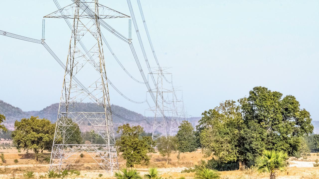 140 hectare of forest to be razed in Thane and Raigad?