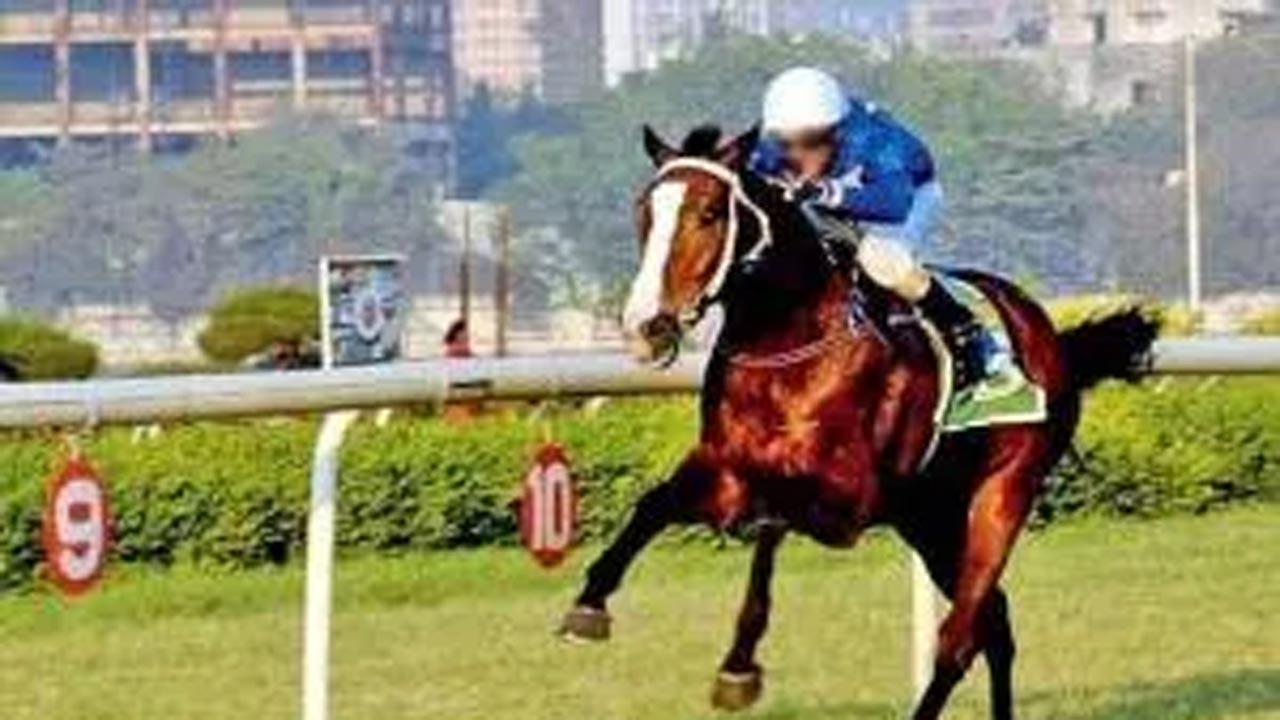 Mystical Rose for Villoo C Poonawalla Million