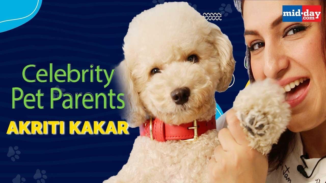 Akriti Kakar used to be petrified of dogs
