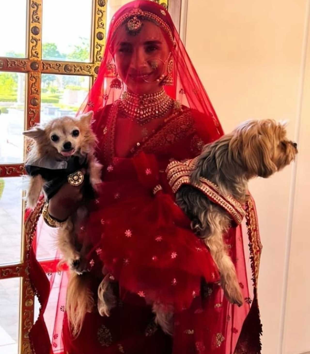 Patralekhaa took her pet dogs along all the way to Chandigarh for her wedding ceremony. (Pic: @pallav_paliwal Instagram account)