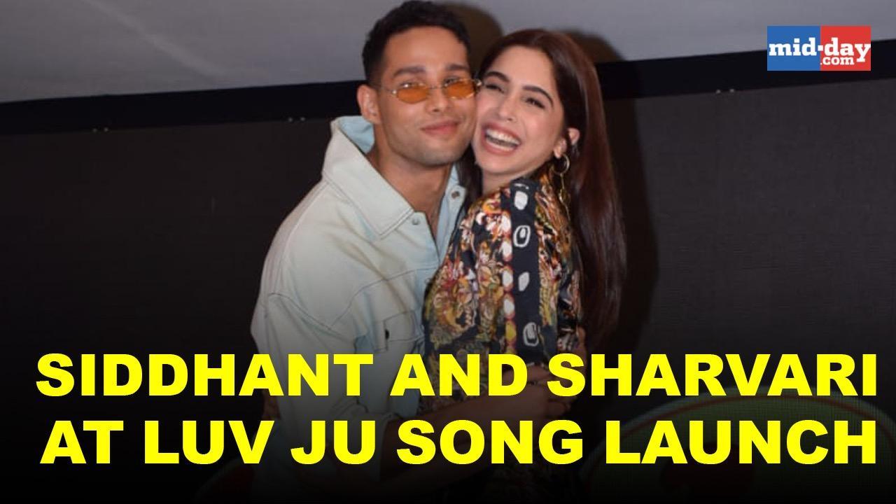 Siddhant Chaturvedi and Sharvari Wagh at Luv Ju song launch