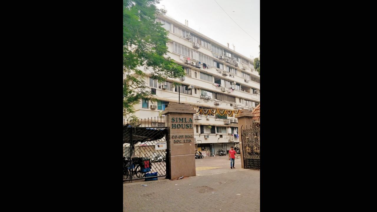 A man stole the papers of a flat of an 85-year-old woman at Simla House on Napean Sea Road and sold it after her death