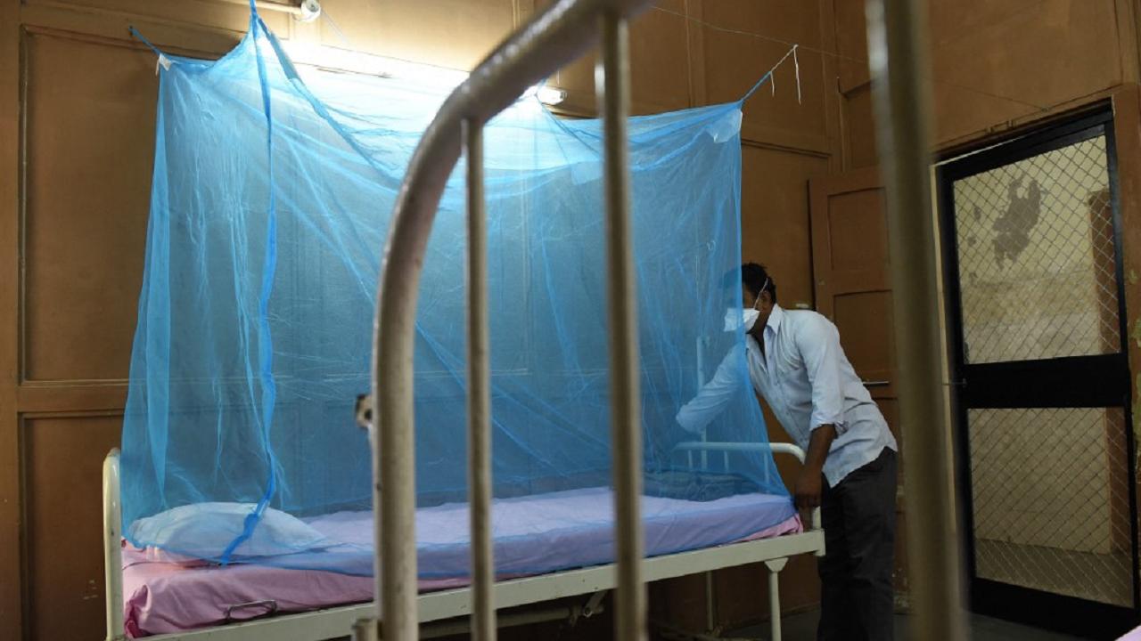 Nine new Zika virus cases reported in Kanpur, total count goes up to 98  