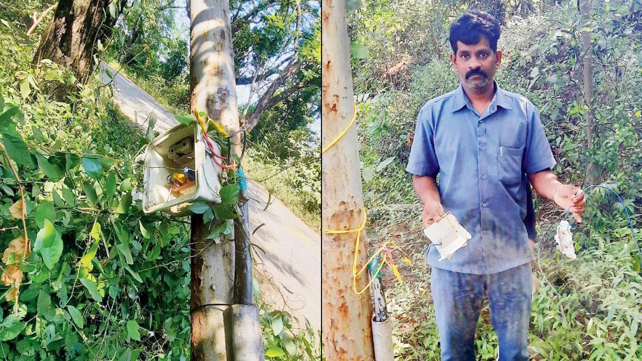 Should take measures to ensure lights in Aarey