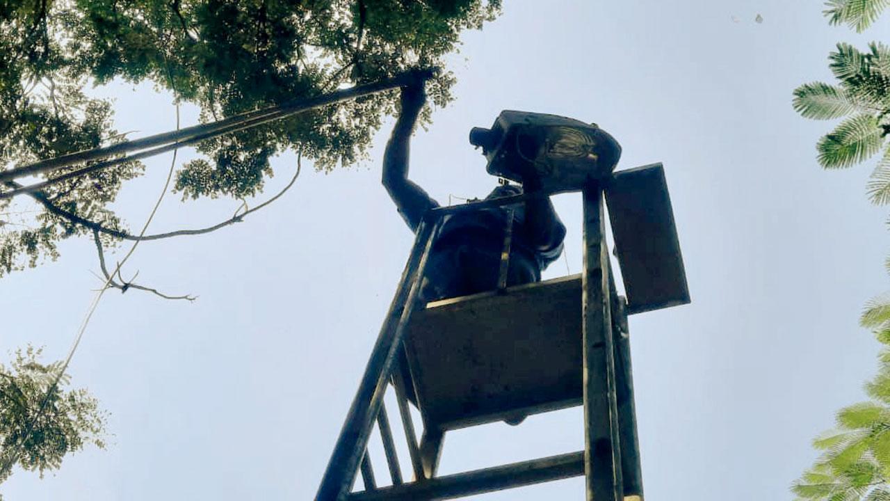 A staffer from the CEO’s office fixes a streetlamp in Aarey Milk Colony