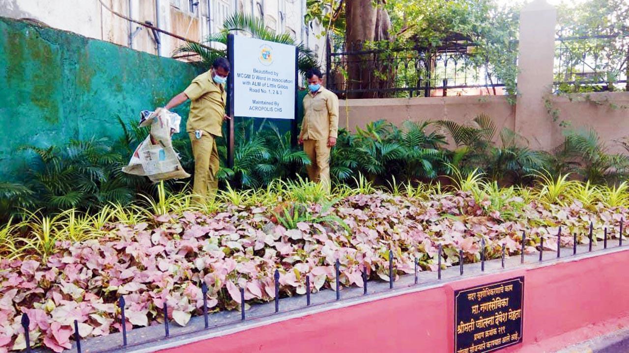 Mumbai: Dead end of Little Gibbs Road transforms from unused to eye-pleasing