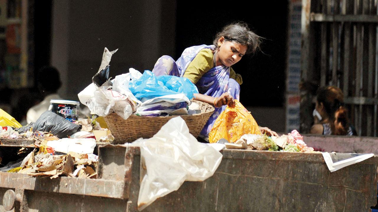 Dustbins on roadsides are an eyesore and can spread diseases if not cleared regularly