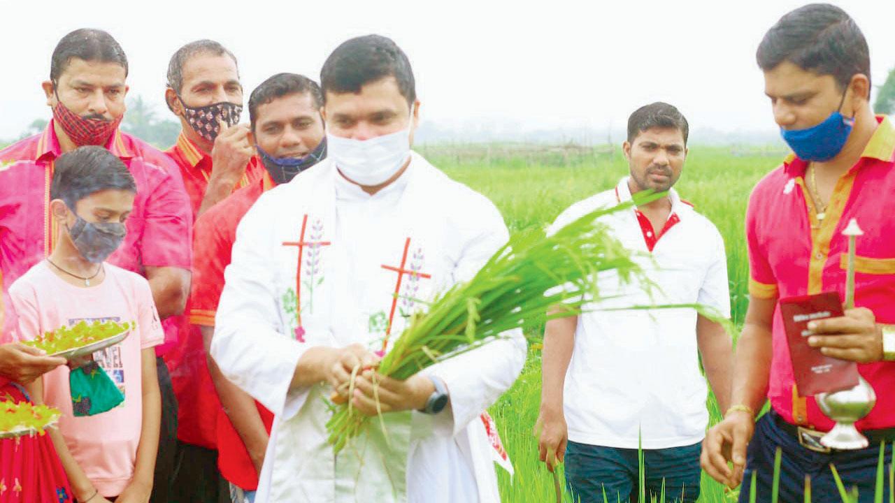 A priest blesses the paddy in a field