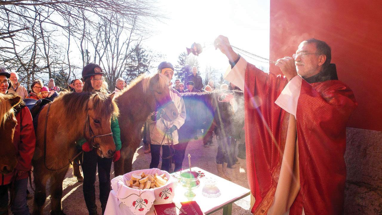 Hark the bark, and say hear, hear to the purr: South Mumbai church resumes annual animal event