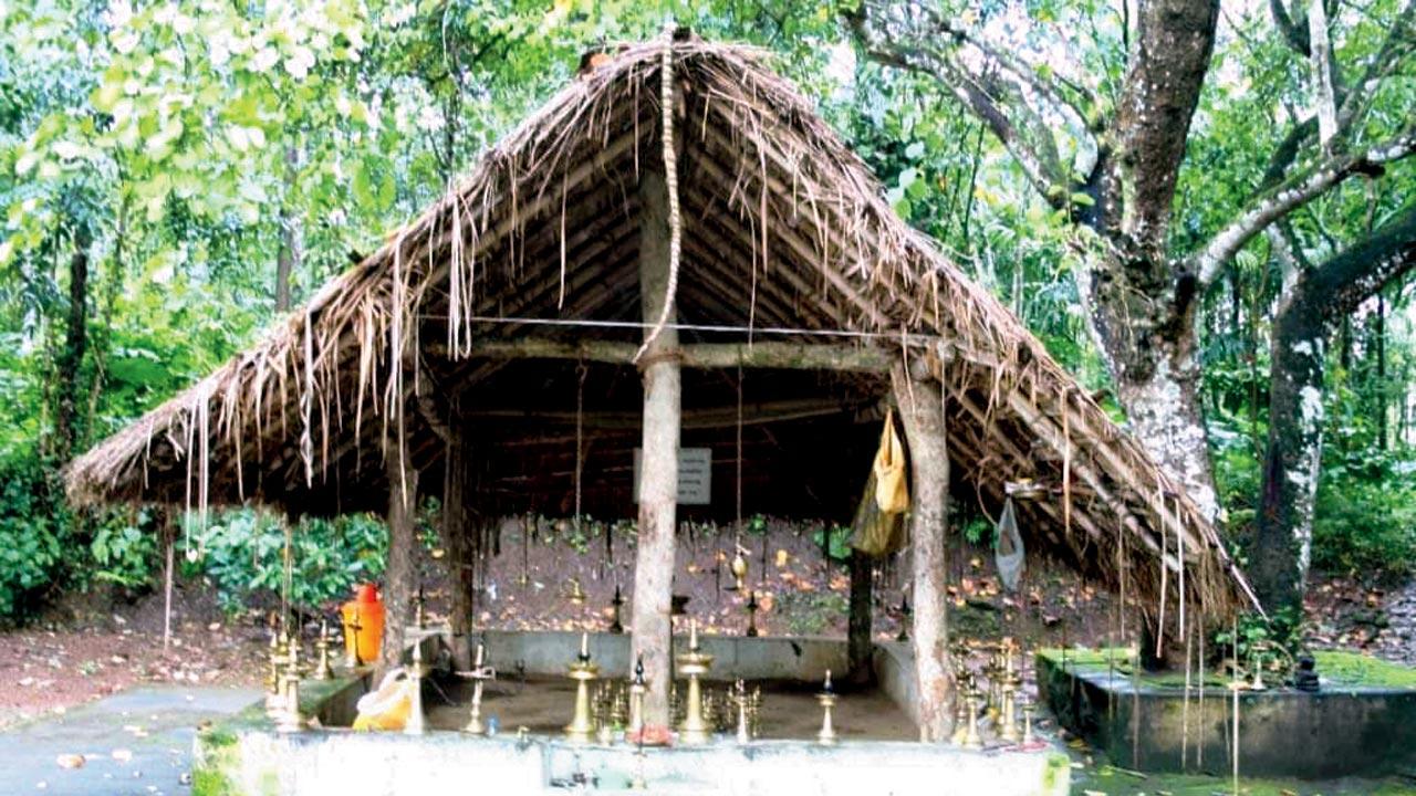 The Valmiki ashram in Pulpally, where Sita is said to have stayed. Sage Valmiki is said to have visited several places in Wayanad, before he started living in this ashram. Valmiki heard Sita’s cries, after she was abandoned by Lakshmana