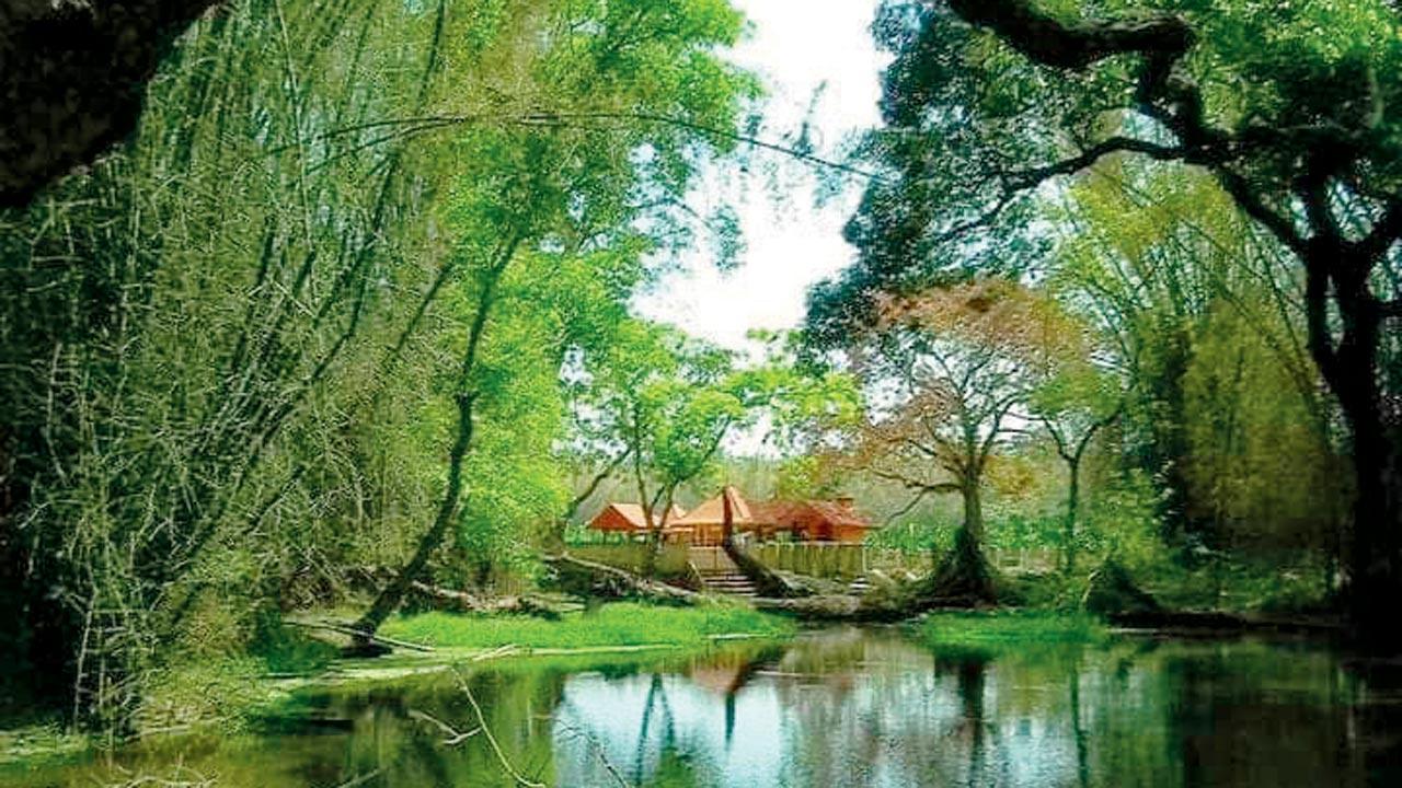 Kanneerthadakom (pool of tears) is said to have formed by Sita’s tears, during her stay at Ponkuzhy. The hermits who saw Sita living alone took her to Valmiki’s ashram in Ashramkolly near Pulpally. There, she gave birth to Lava and Kusa