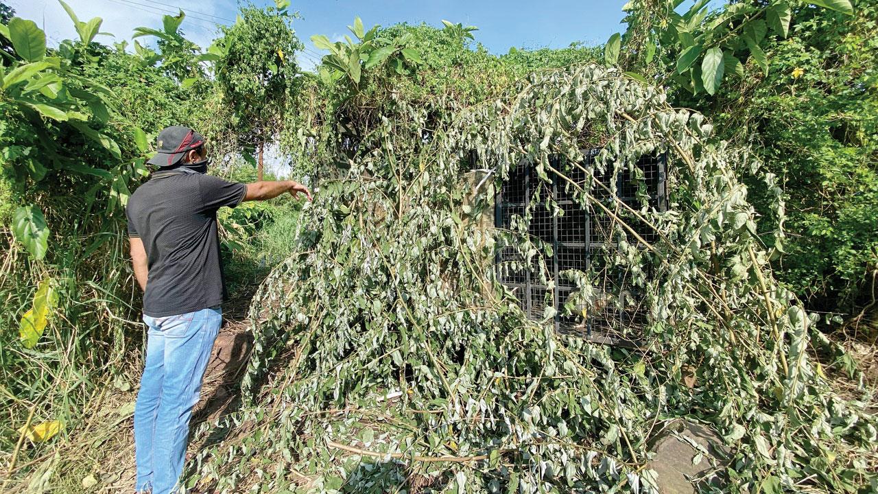 The leopard allegedly mock charged Rajendra Amar Singh Rawat, 28, a resident of unit 31, on Sunday around 6 pm