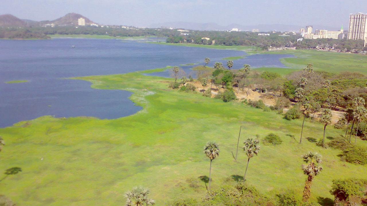 Stalin said the lake is a protected wetland and BMC can’t have its own interpretation of the law
