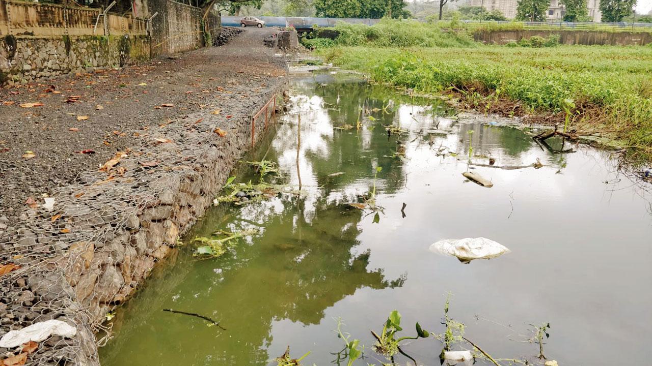 The cycle track coming up along the periphery of Powai lake