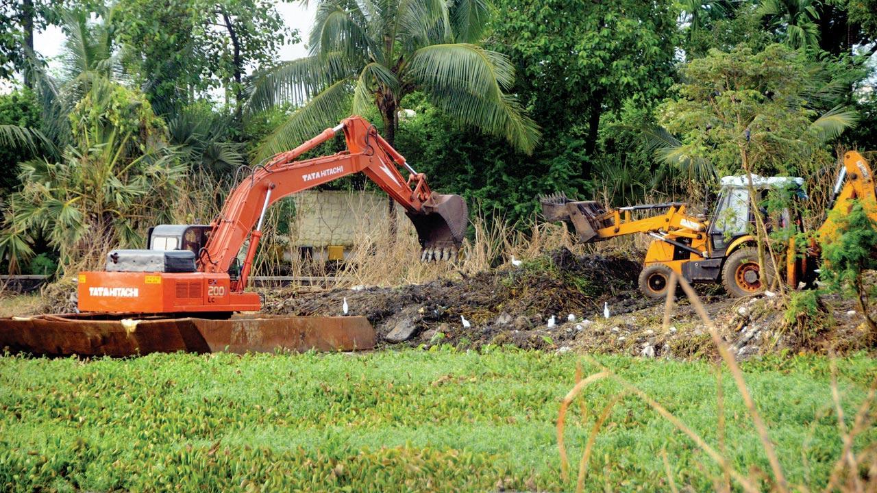 Powai lake not natural, we built it, says BMC on opposition over community space construction