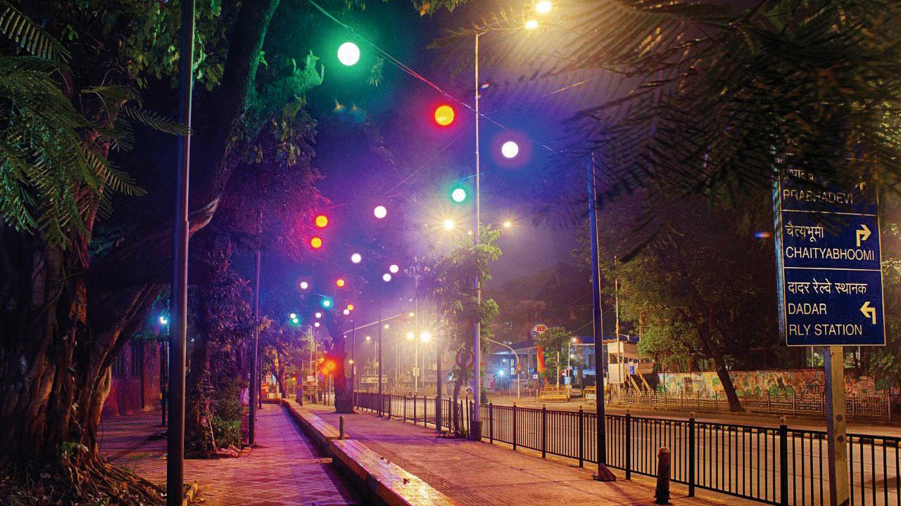 The pathways around the park have also been lit up