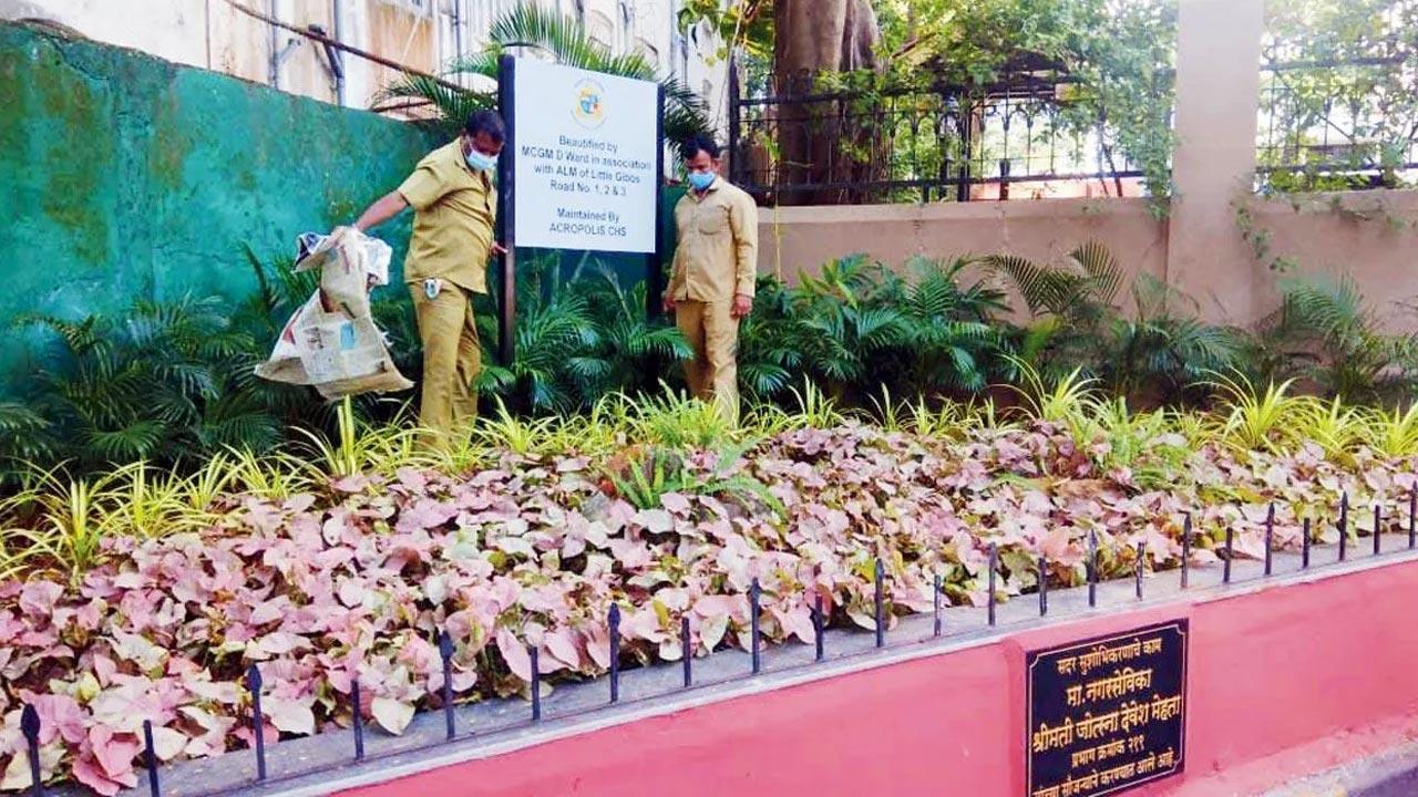 Time to join hands with BMC to make city greener