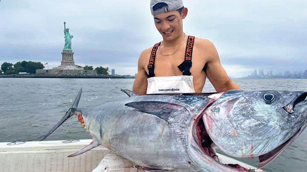 Something’s fishy!