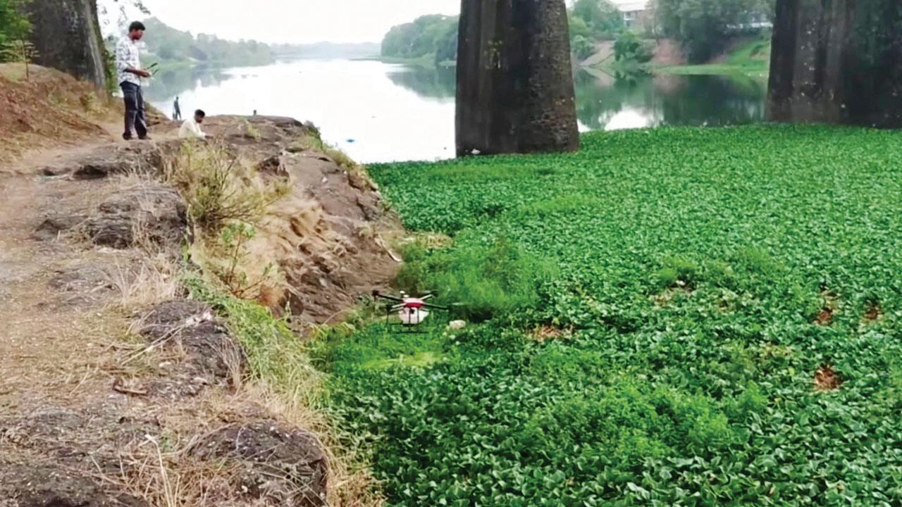 Stop spraying poisonous chemical into Ulhas river, say activists
