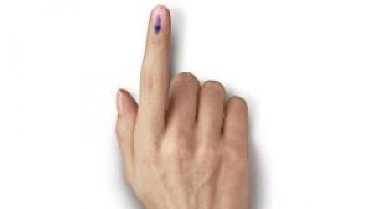 Voting for by-polls in three parliamentary constituencies, 30 Assembly seats underway