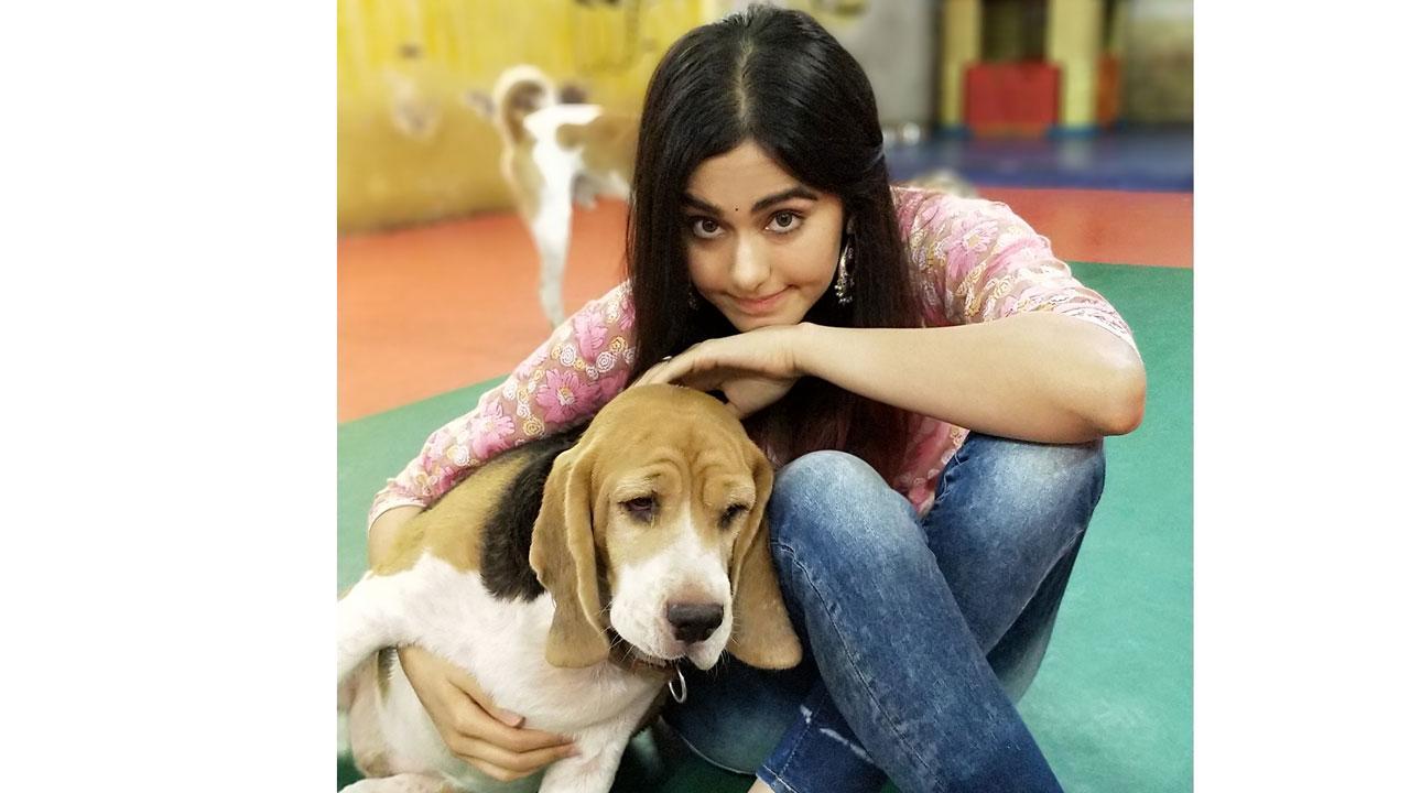 Adah Sharma on shooting with a dog in Aisa Waisa Pyar: We did workshops, but the dog did whatever he wanted