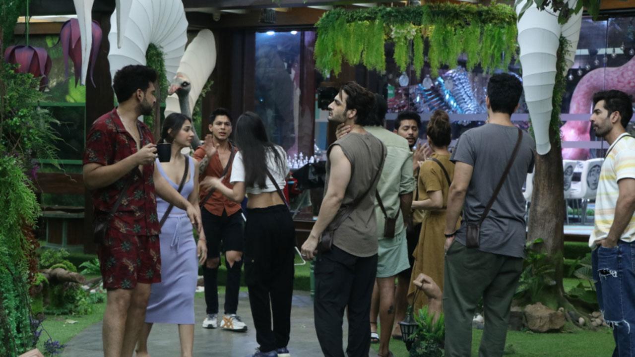 Bigg Boss 15: Junglewasis vote for captain; Nishant Bhat, Pratik Sehajpal team up against Shamita Shetty