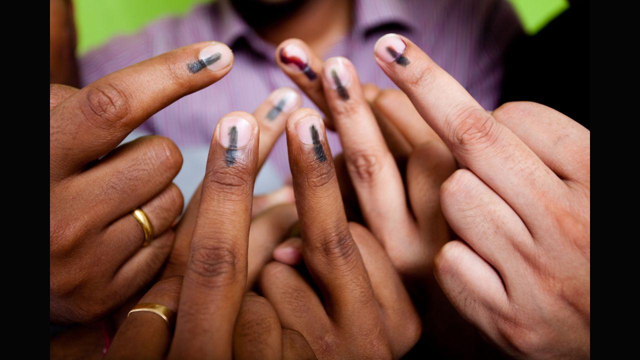 Palghar ZP bypolls: Shiv Sena wins 5 seats, NCP, BJP 4 each; Cong draws blank