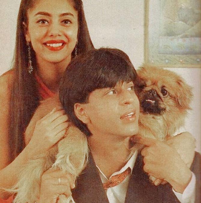 Well, Shah Rukh Khan has time and again narrated the hardships he went through and how Gauri Khan's support helped him overcome those struggles. 