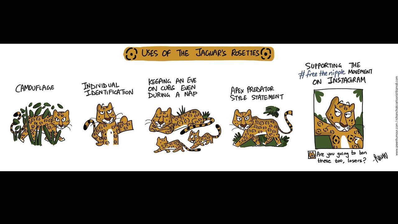 Green Humour: Comic Strip By Rohan Chakravarty