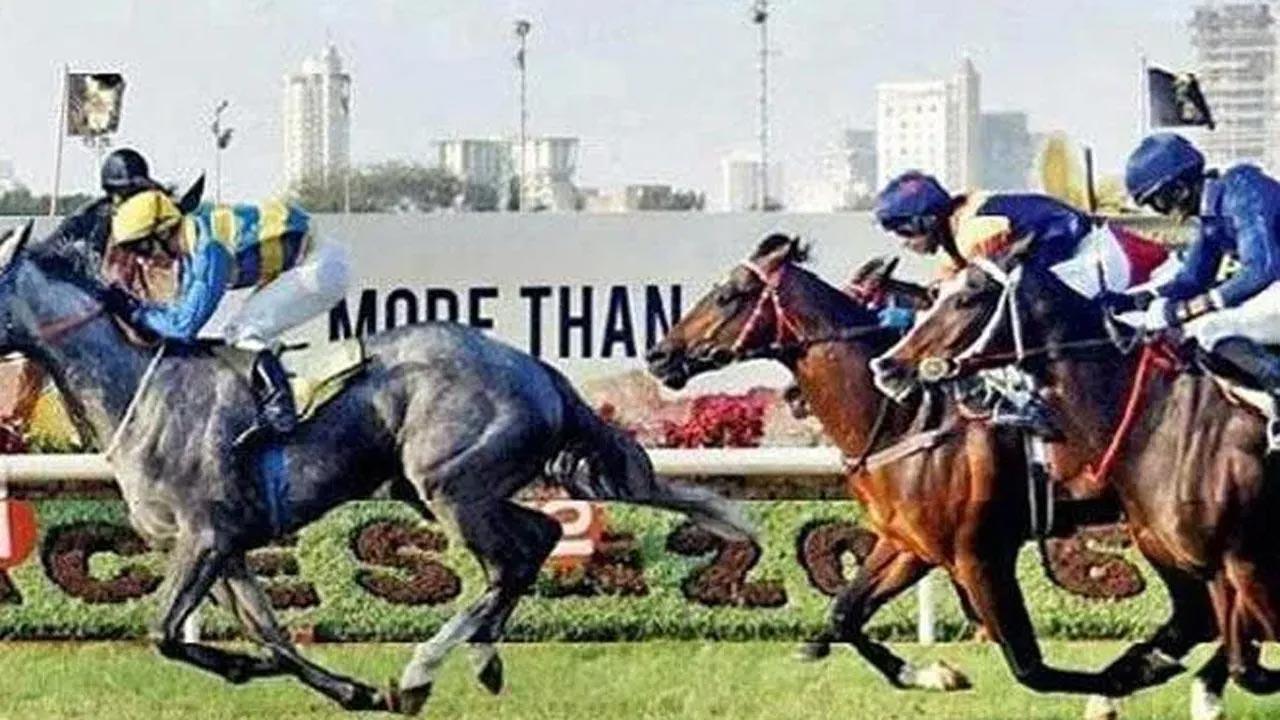 Parisian wins feature; Shroff, Chouhan dominate