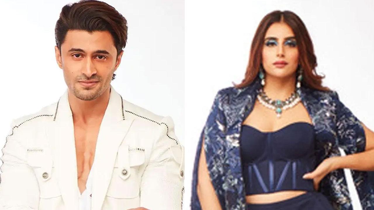 Bigg Boss 15: Ieshaan Sehgaal, Meisha Iyer snuggle; can't keep their hands off each other in this new video