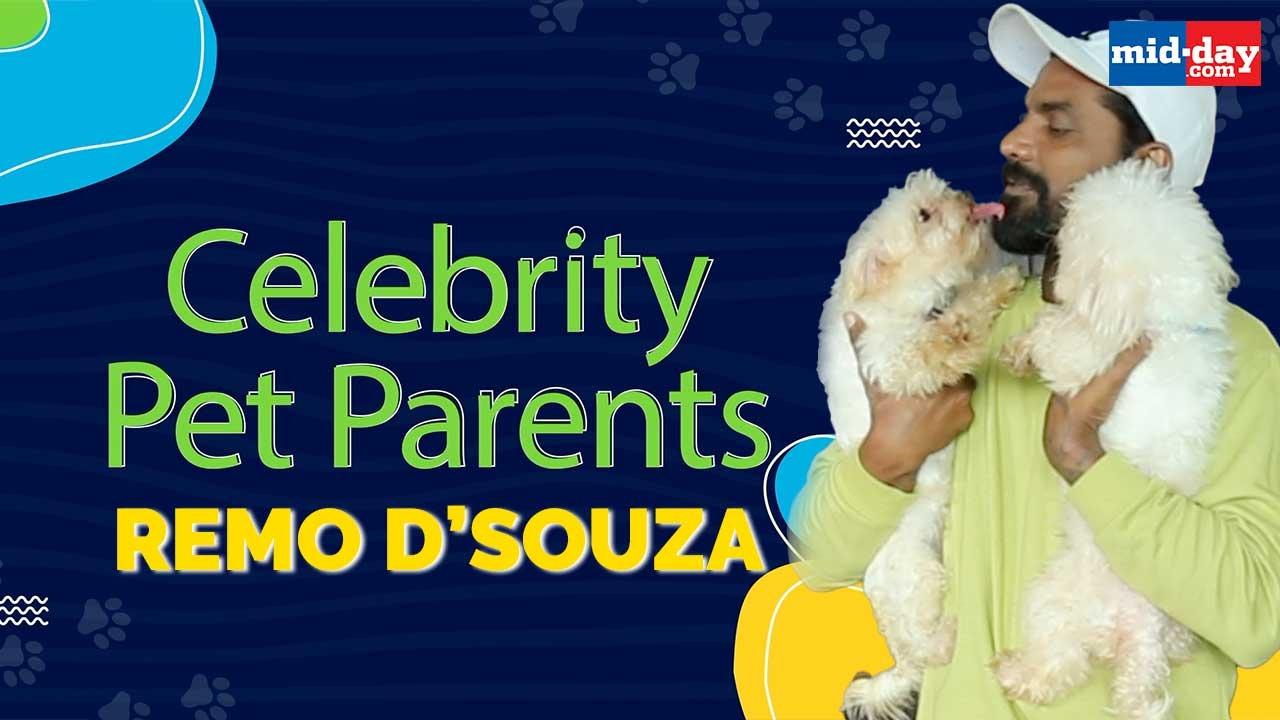 Celebrity Pet Parents: 'I keep adding to my pet family', says Remo D'Souza