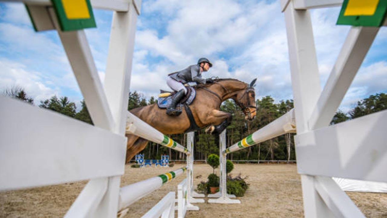 Four riders qualify for show jumping at Asian Games