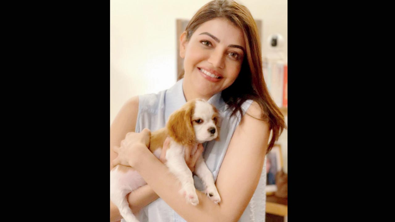 Kajal Aggarwal