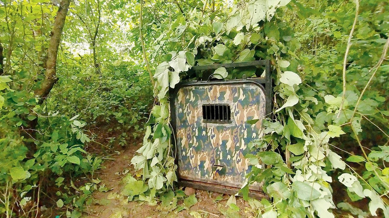 One more leopard attack in Aarey, permission granted to trap animal