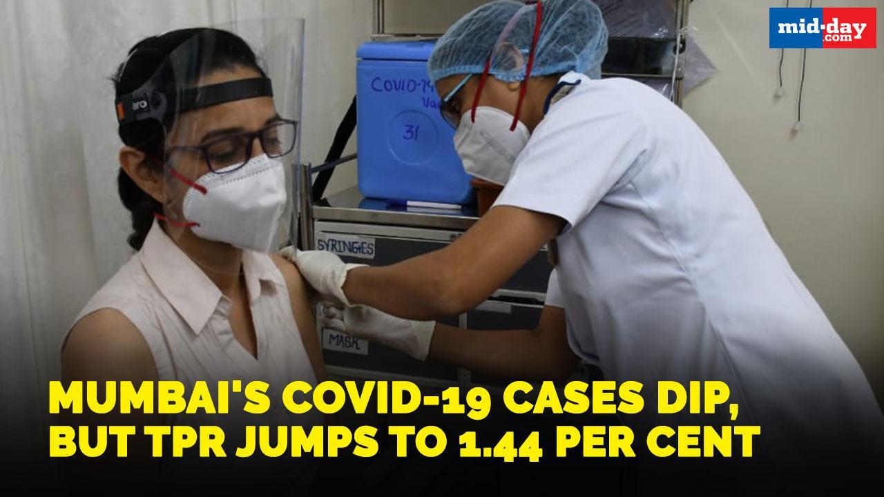 Mumbai's Covid-19 cases dip, but TPR jumps to 1.44 per cent